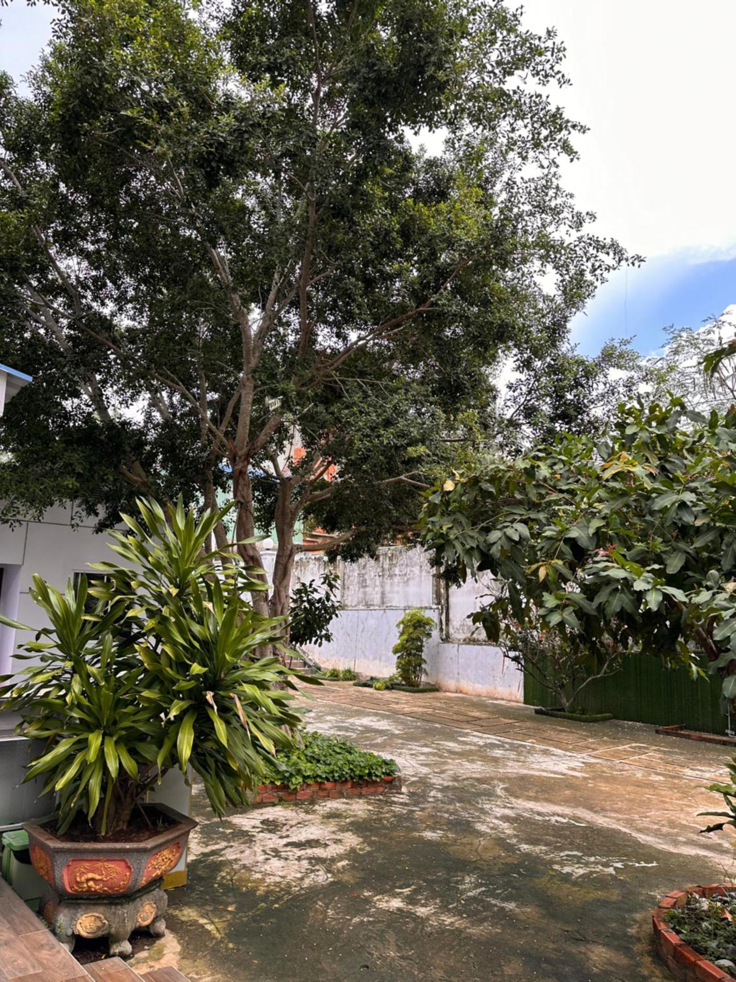 Bungalow Hotel Chi Khu Co Ong Extérieur photo