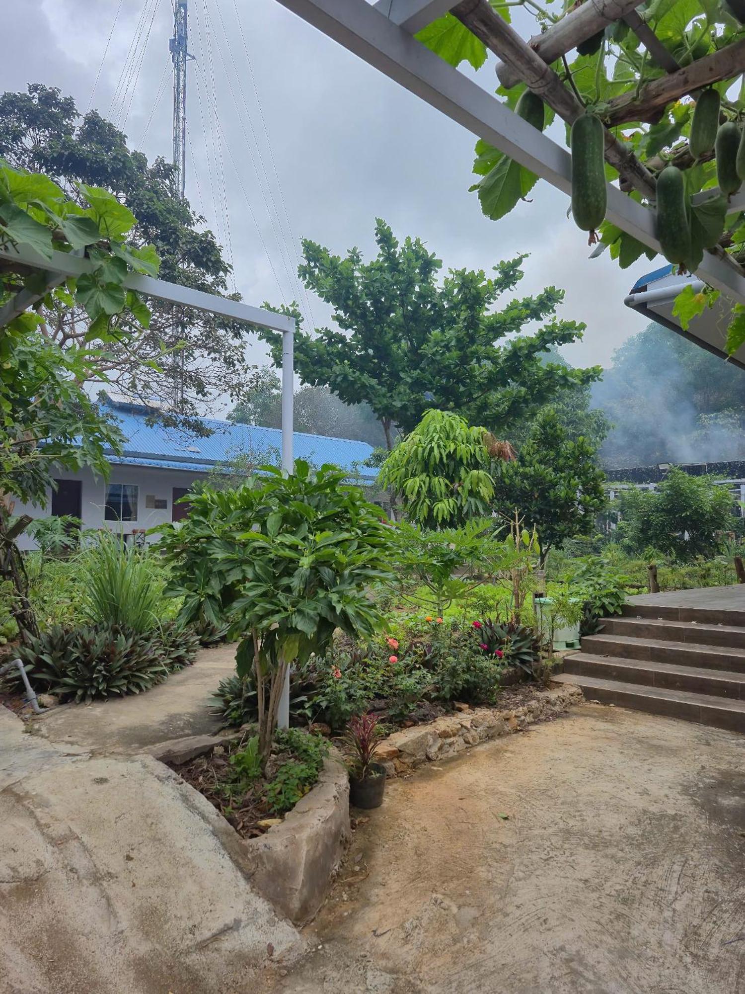 Bungalow Hotel Chi Khu Co Ong Extérieur photo